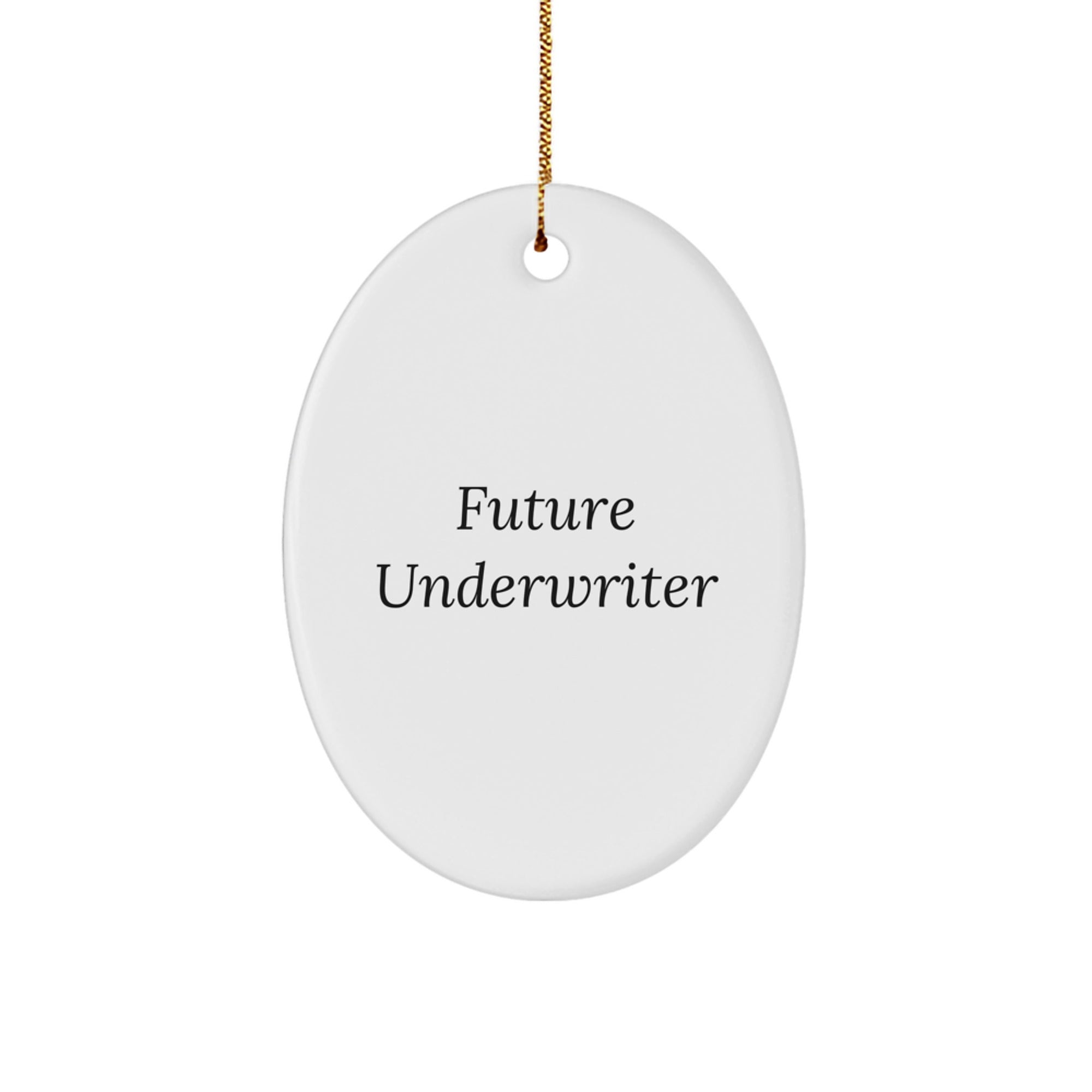 Funny Future Underwriter Gifts from Friends or Family - Oval Ornament, Unique Underwriter Christmas Unique Gifts for Underwriter