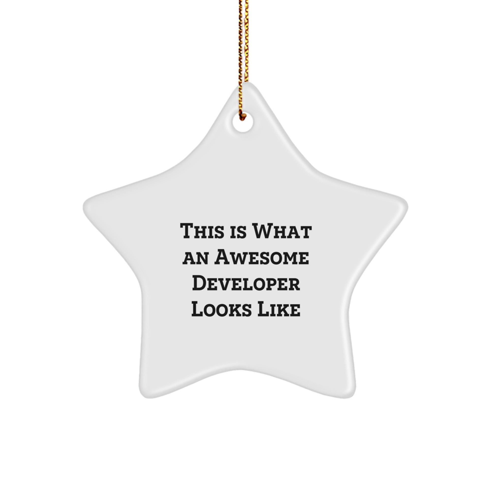 Funny Developer Gifts for Men, This Is What An Awesome Developer Looks Like Star Ornament, Perfect Christmas Unique Gifts for Coworkers