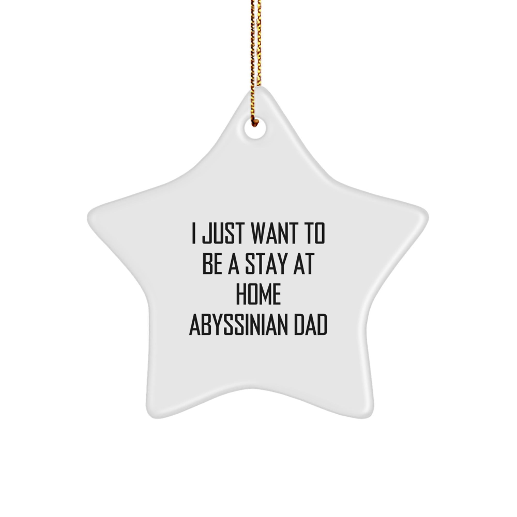 Abyssinian Cat Dad Gifts, Star Ornament for Men, Funny Quote 'I Just Want To Be A Stay At Home Abyssinian Dad', Christmas Unique Gifts for Family
