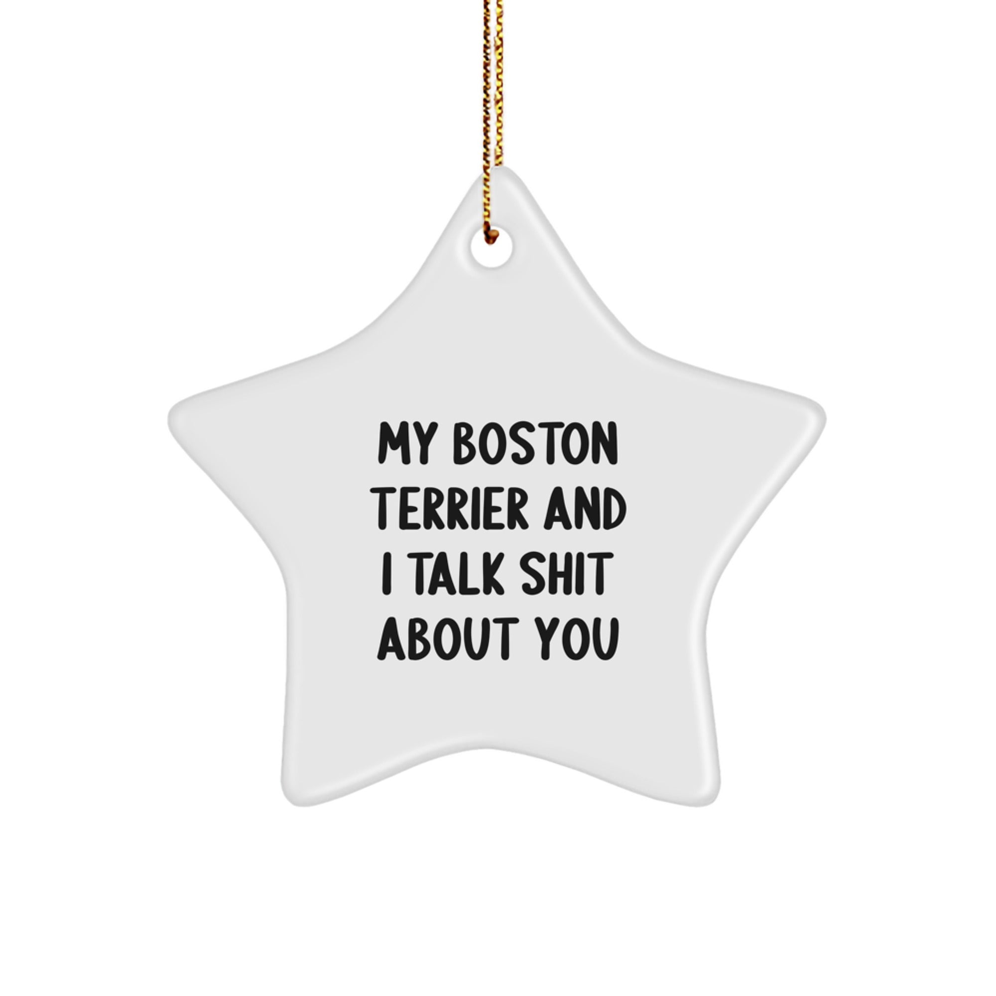 Funny Boston Terrier Dog Gifts from Men for Women Friends Family Star Ornament Quotes My Boston Terrier And I Talk Shit About You