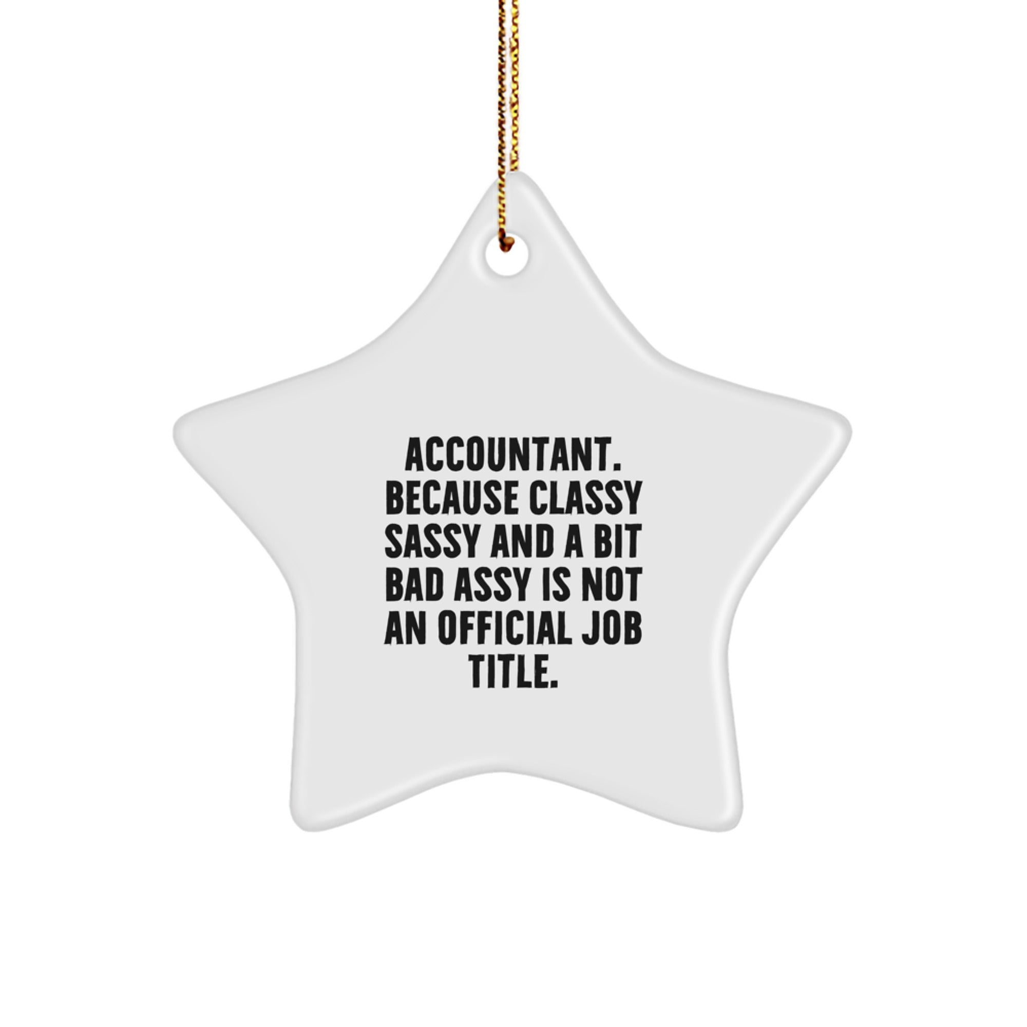 Favorite Accountant Christmas Ornament for Kids Gift