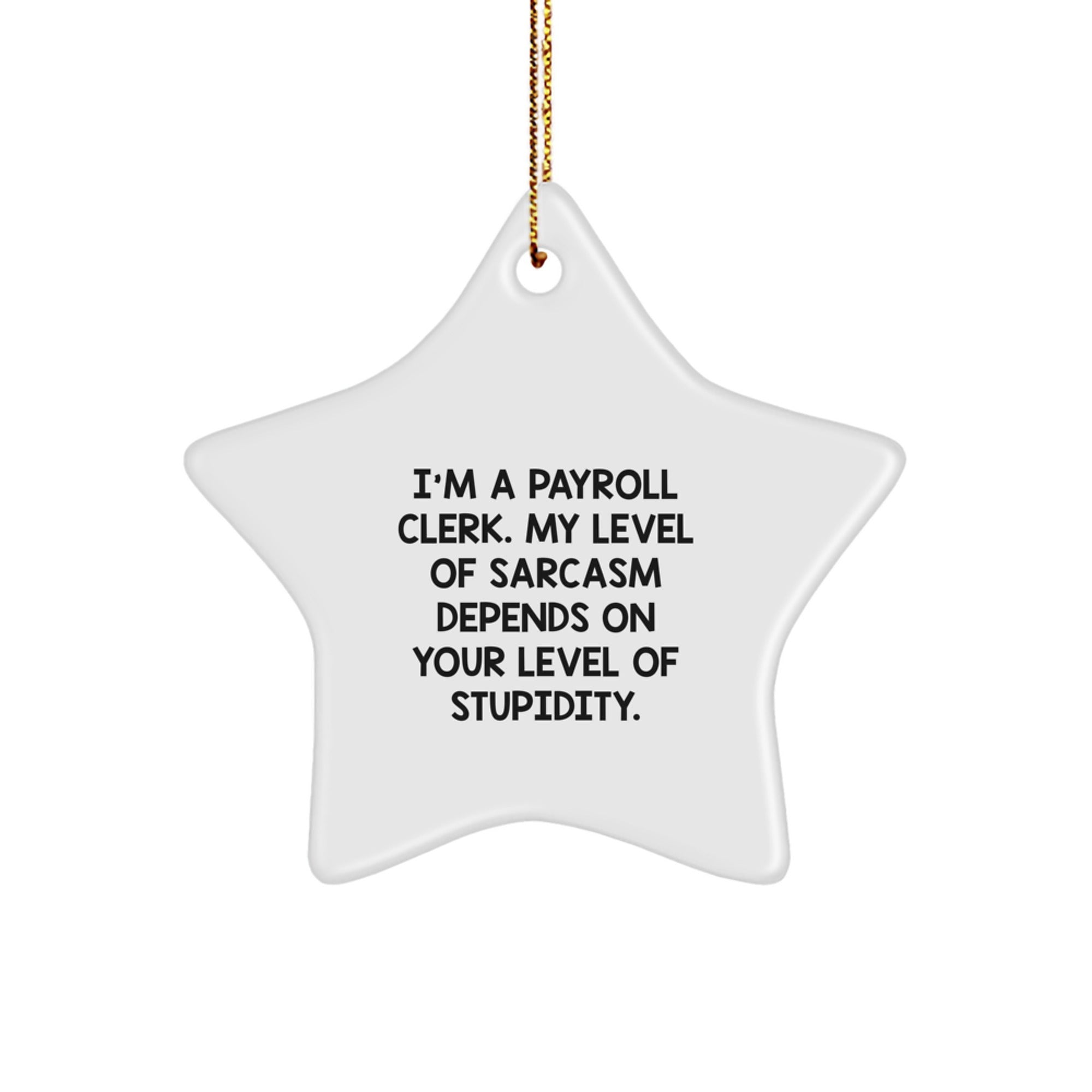 Funny Sarcasm Gifts for Payroll Clerks, Unique Star Ornament for Christmas from Friends and Family