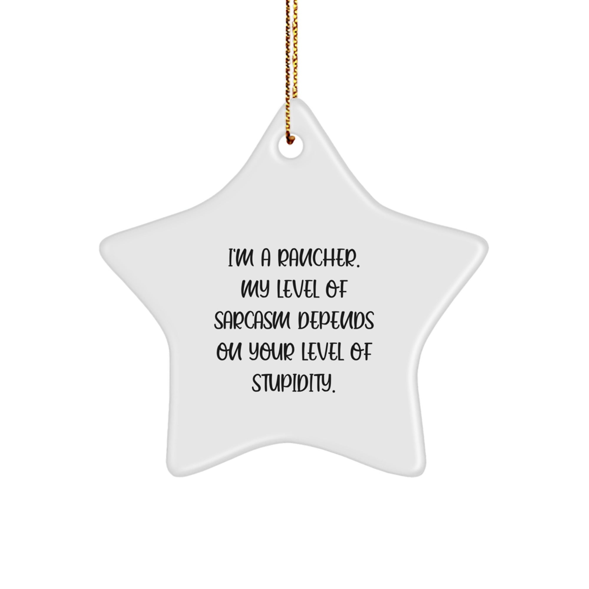 Funny Rancher Gifts from Family - Star Ornament for Men, Unique Christmas Decor, Humorous Sarcasm Quote