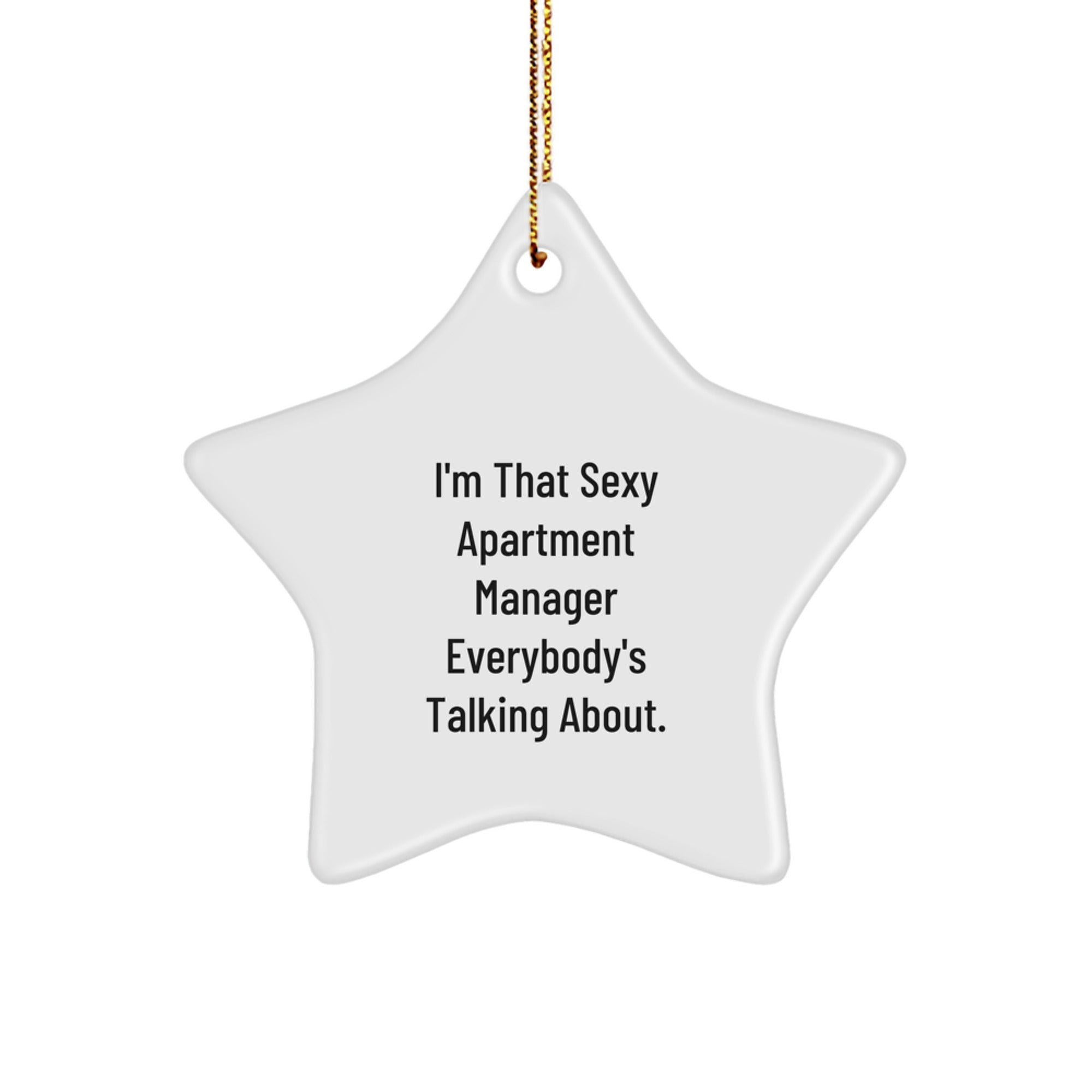 Funny Apartment Manager Gifts - Sexy Star Ornament for Friends from Men, Women, Coworkers, Family - Christmas Unique Decorations for Women, Men, Family, Friends