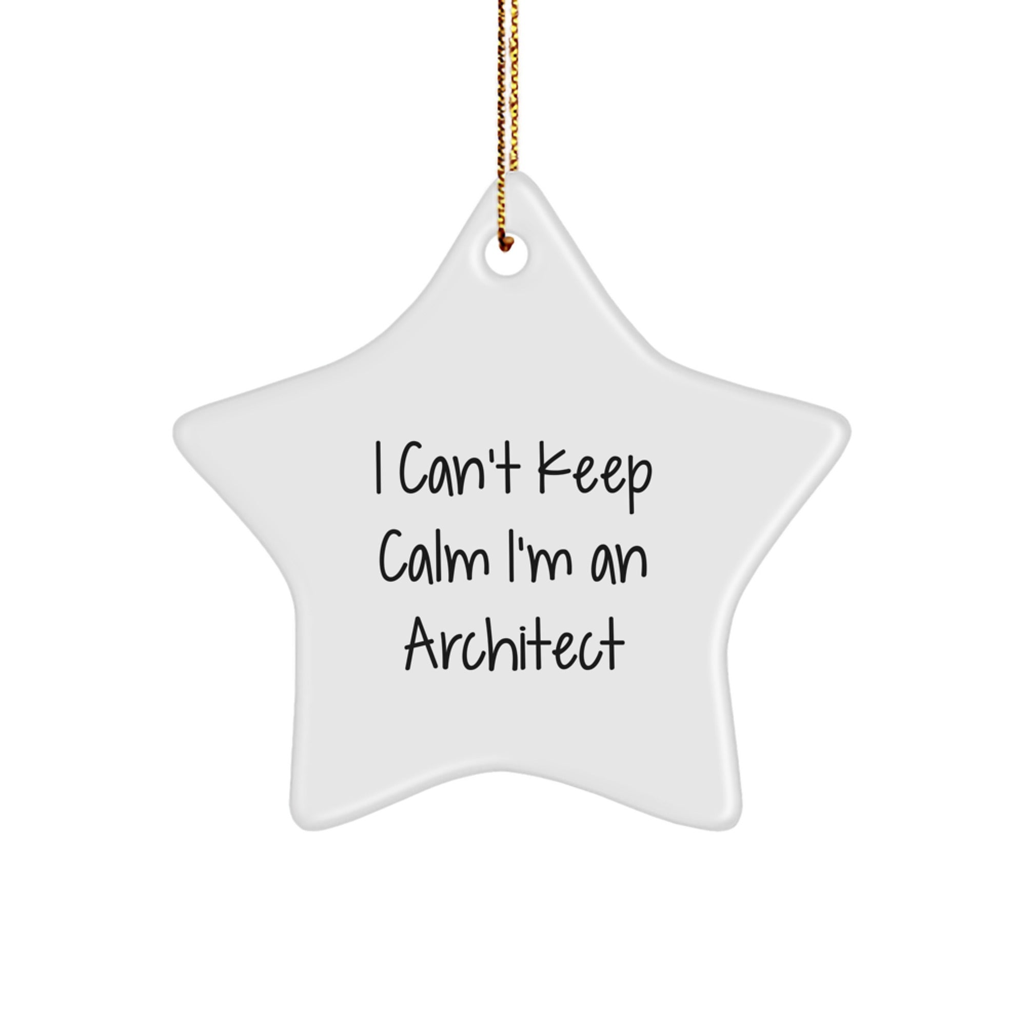 Funny Architect Star Ornament, I Cant Keep Calm I'm An Architect Gifts for Men, Friends, Family - Unique Christmas Decorations from a Designer