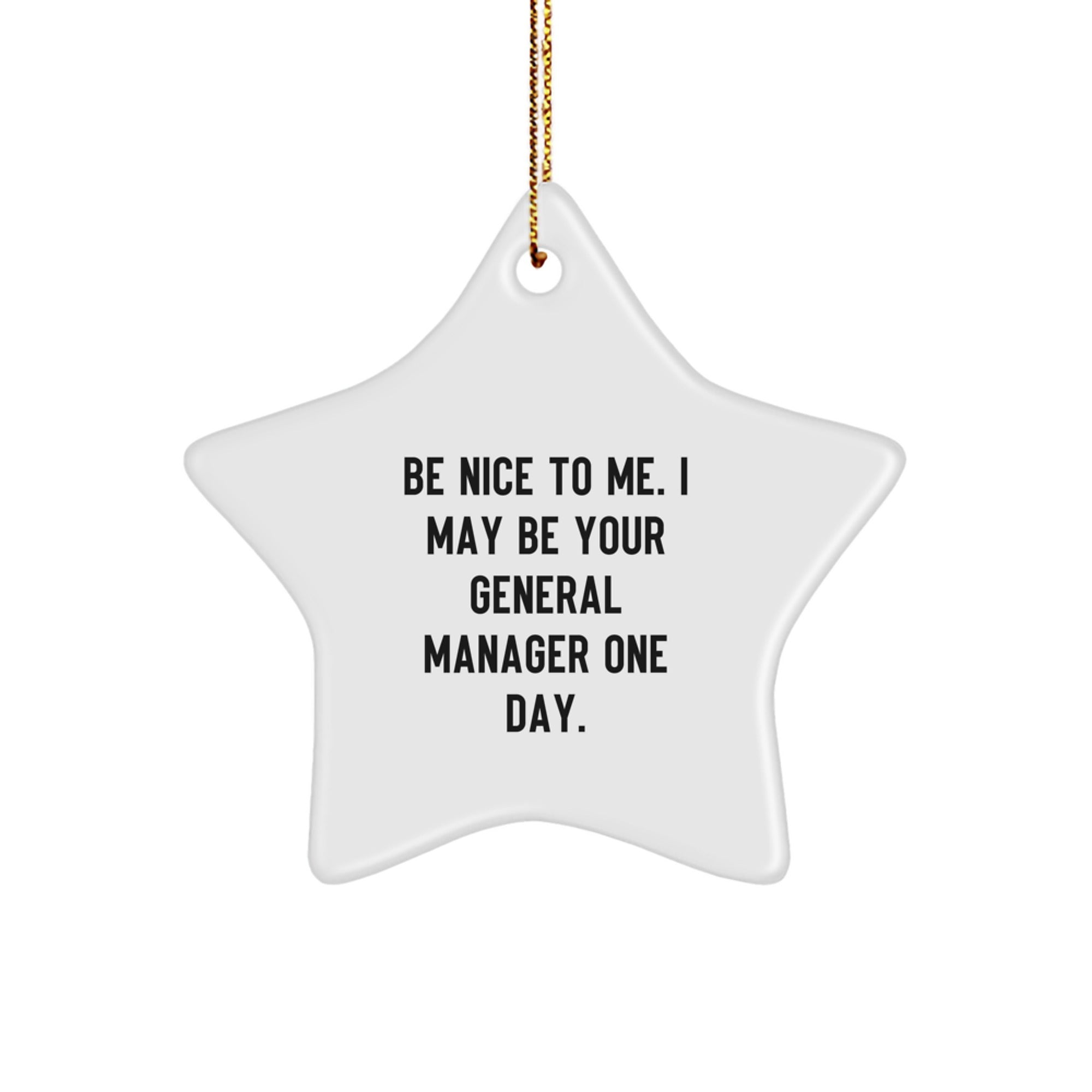 Nice to General Managers, Funny Star Ornament with Inspirational Quote, Gifts from Friends, Family, or Coworkers, Perfect for Christmas Decorations
