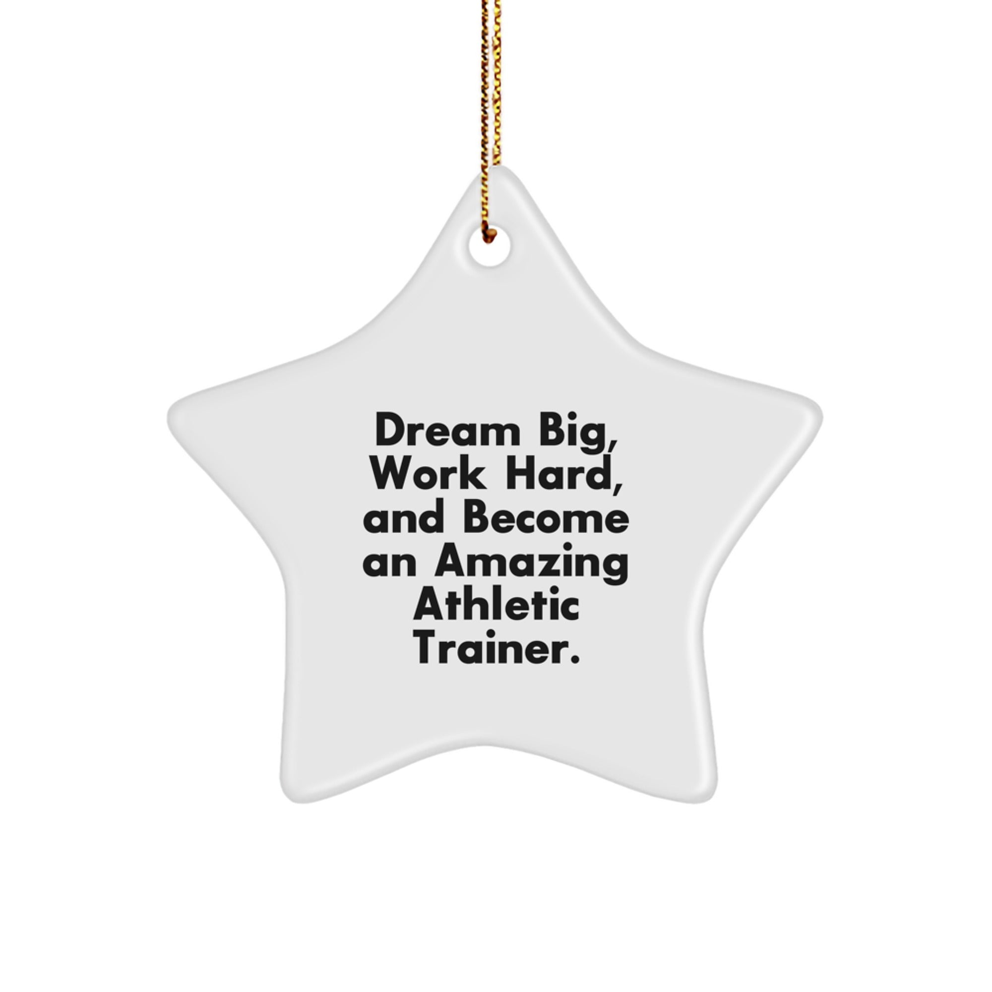 Funny Inspirational Star Ornament for Athletic Trainer Gifts from Friends and Family - Dream Big - Christmas Unique Gifts