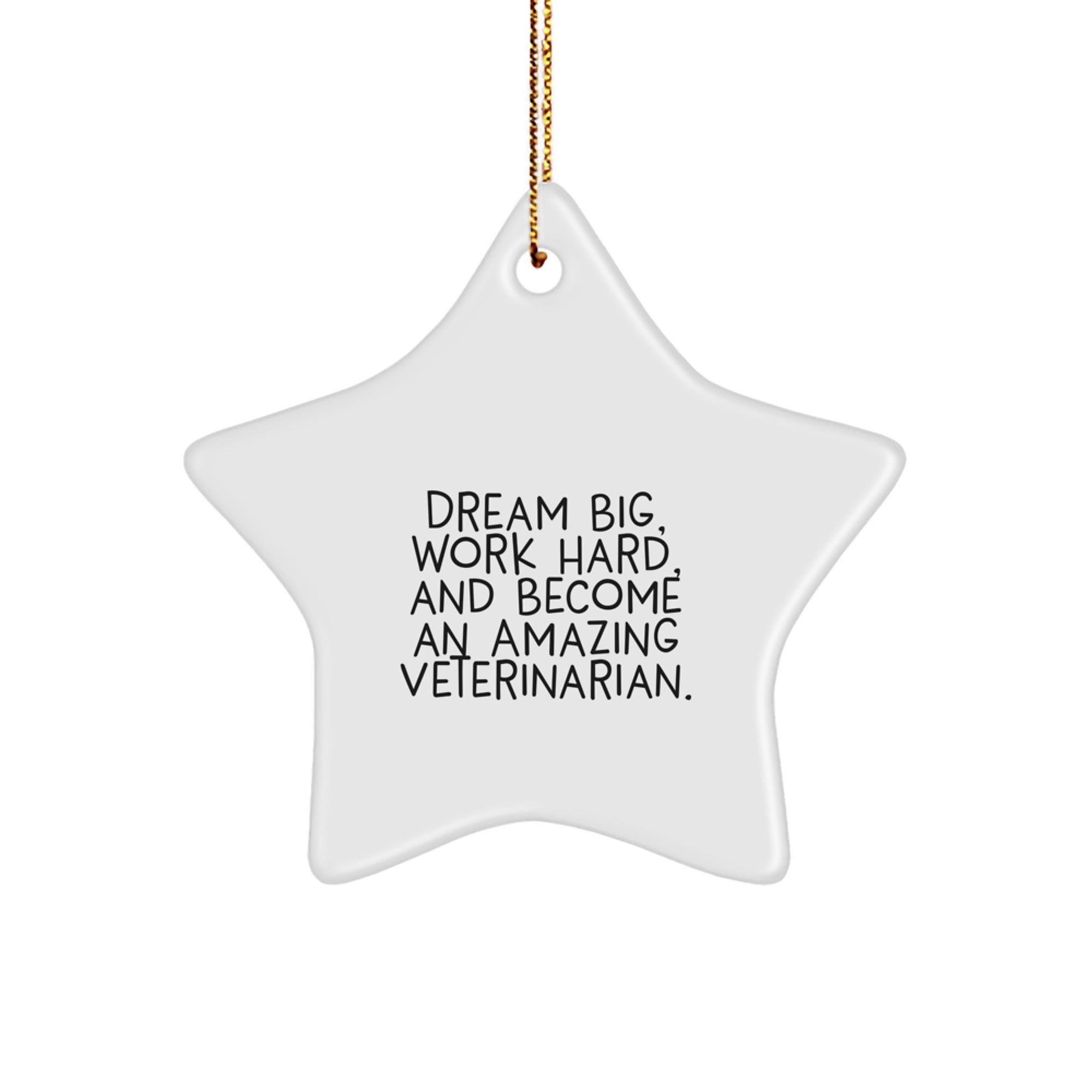 Inspiring Veterinarian Star Ornaments Gifts from Family for Christmas Unique Inspirational Quote
