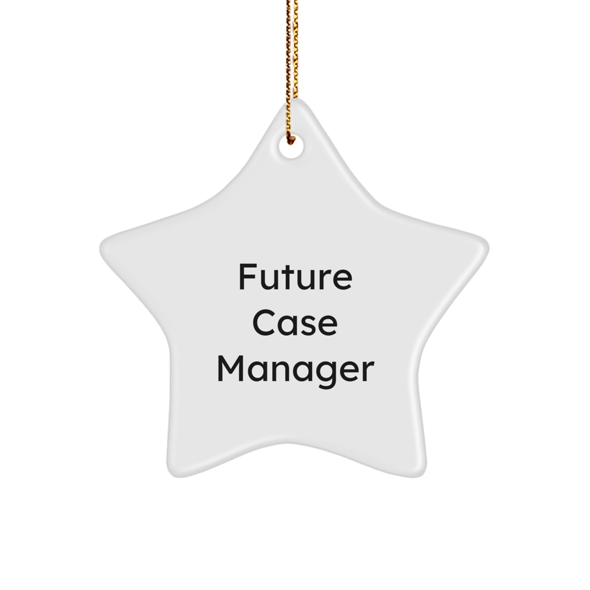 Funny Quote Gifts for Case Manager, Star Ornament, Christmas Unique Gifts from Family