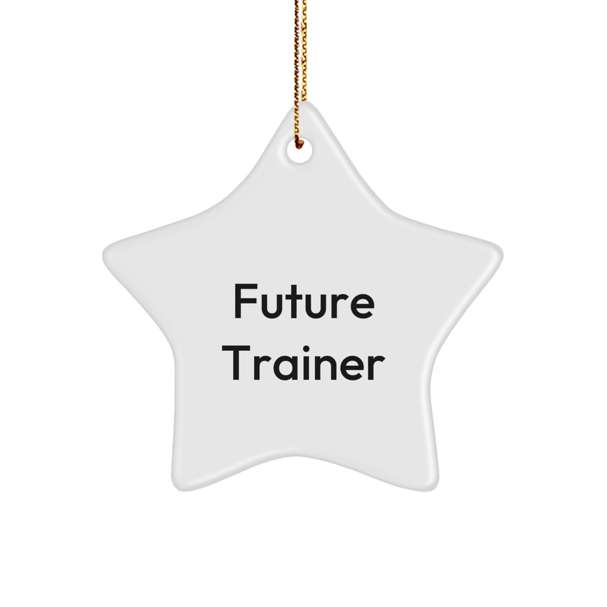 Funny Trainer Gifts from Friends for Future Trainers Christmas Unique Star Ornaments