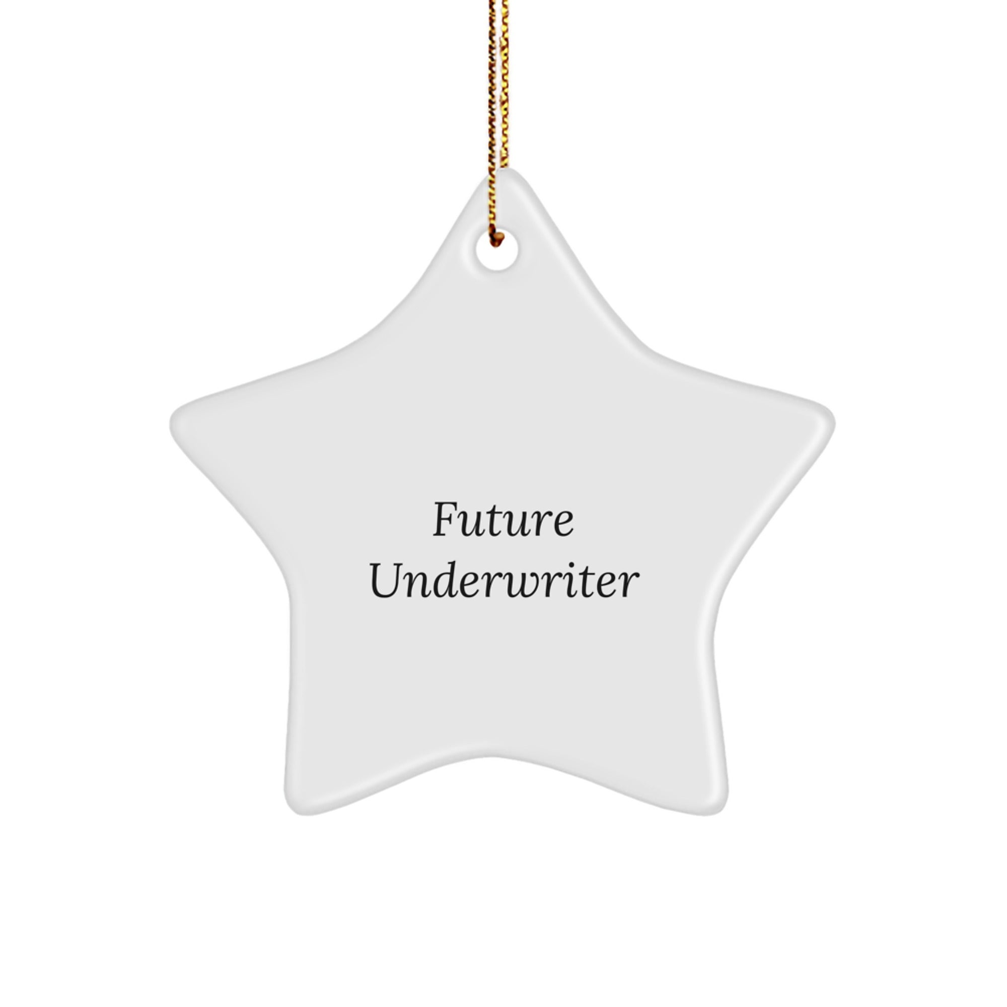 Funny Future Underwriter Star Ornament, Gifts from Men to Future Underwriters, Christmas Unique Gifts for Underwriter Friends, Star Shaped White MDF
