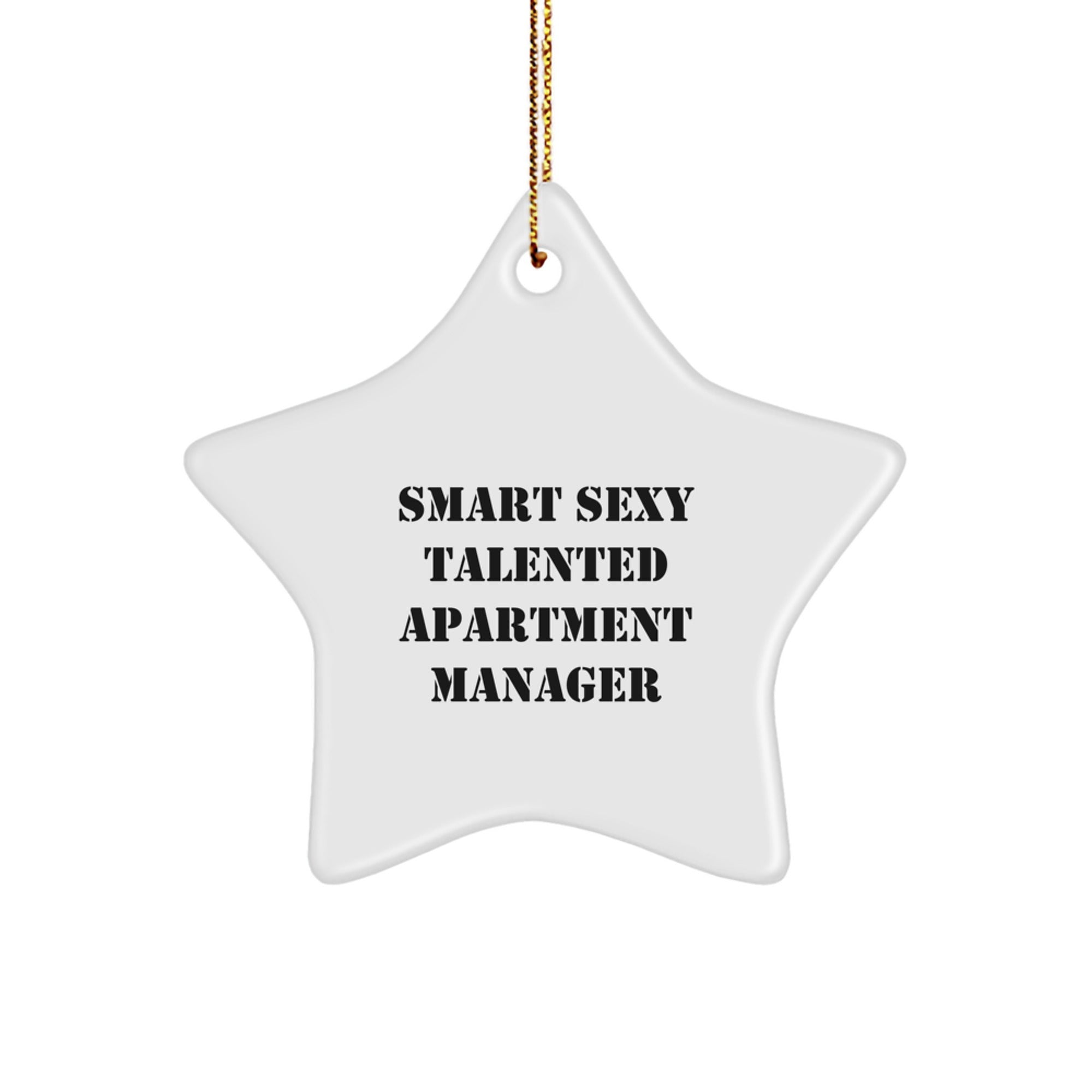 Funny 'Smart Sexy Talented' Apartment Manager Star Ornament Gifts from Friends, Coworkers, Family for Apartment Manager, Men, Women, Christmas Unique Gifts